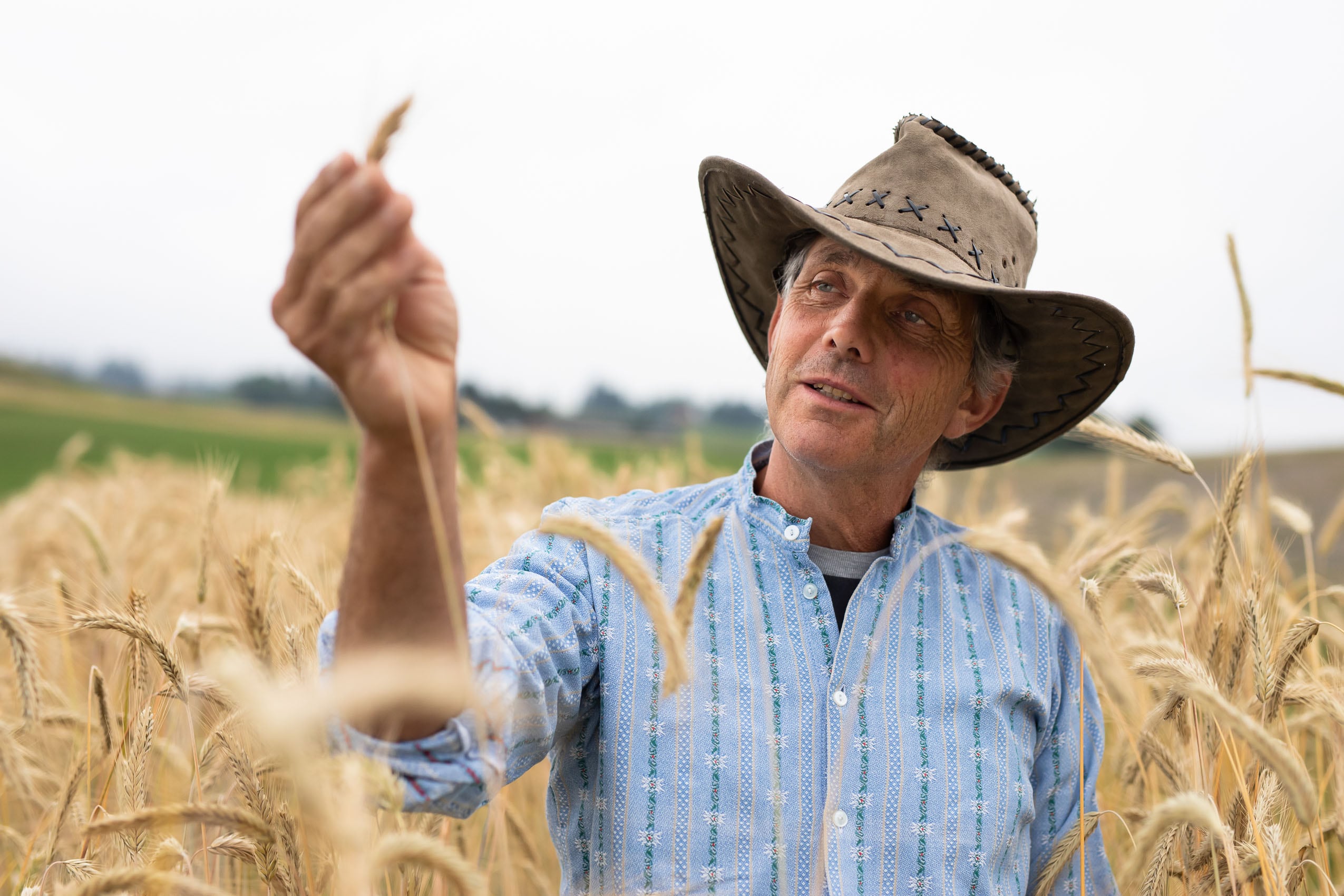 Bio-Bauer im Roggenfeld